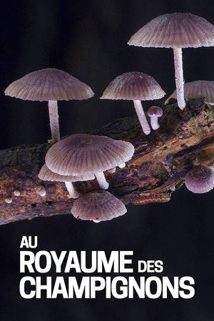 The Kingdom: How Fungi Made Our World poszter