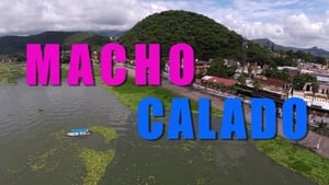 Macho calado háttérkép