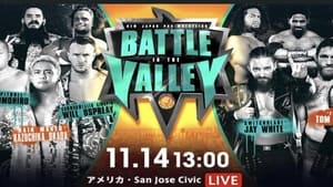 NJPW Battle In The Valley háttérkép