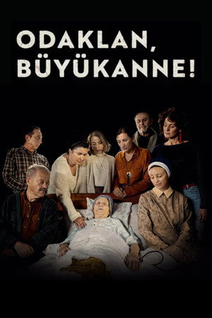 Koncentriši se, baba poszter