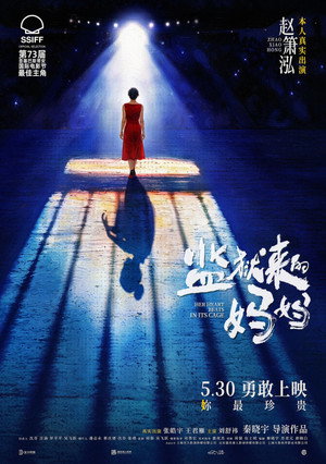 监狱来的妈妈 poszter