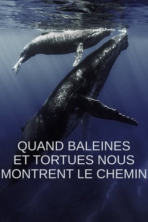 Quand baleines et tortues nous montrent le chemin poszter