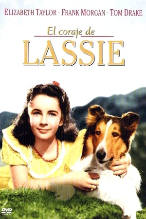 Lassie bátorsága poszter