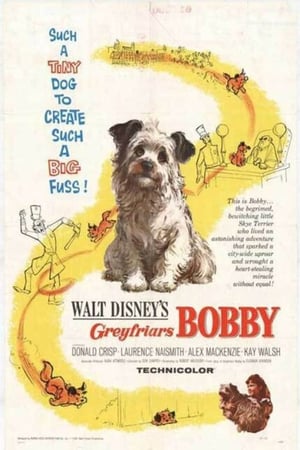 The Adventures of Greyfriars Bobby poszter