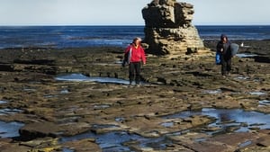 La Ola sin Fronteras: Una expedición al Atlántico Sur háttérkép