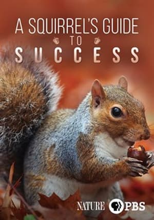 A Squirrel's Guide to Success