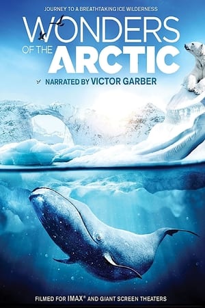 Wonders of the Arctic poszter