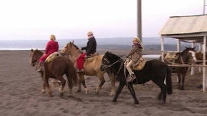 Helemaal het Einde! 1. évad Ep.25 25. epizód