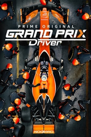 GRAND PRIX Driver poszter