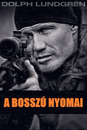 A bosszú nyomai