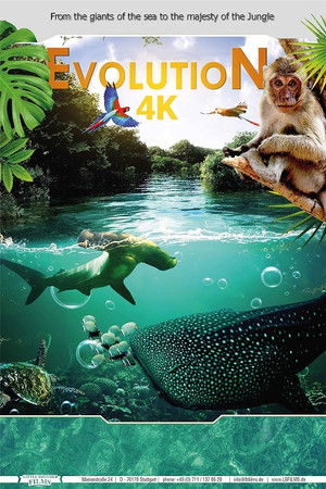 Evolution 4K poszter
