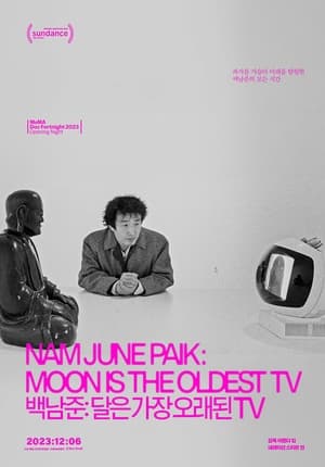 Nam June Paik: Moon Is the Oldest TV poszter