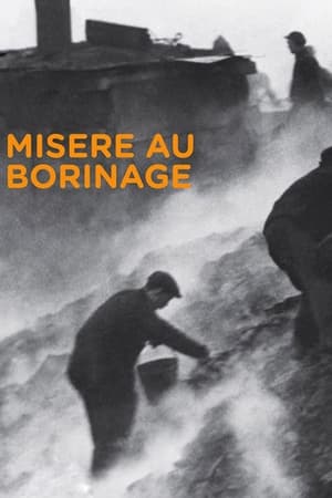 Misère au Borinage poszter