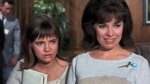 Gidget Season 1 Ep.21 21. epizód
