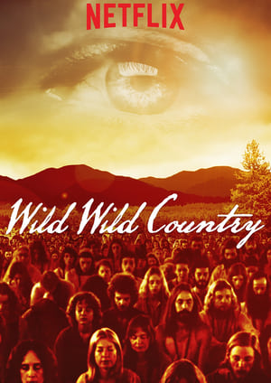 Wild Wild Country poszter