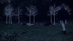 Queen of Hearts: A Twin Peaks Fan Film háttérkép