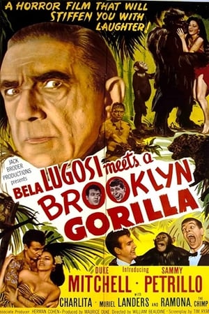 Bela Lugosi Meets a Brooklyn Gorilla poszter