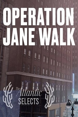 Operation: Jane Walk poszter