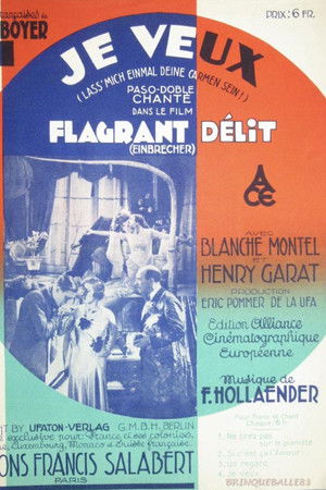 Flagrant délit poszter
