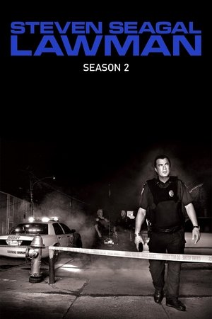 Steven Seagal - Az igazságosztó