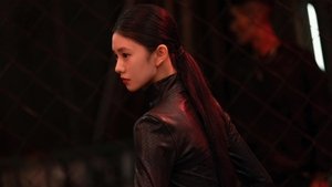 七根心简 kép