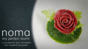 Noma: My Perfect Storm háttérkép