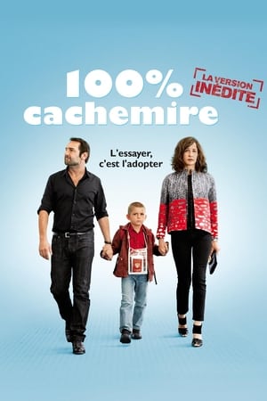 100% Cachemire poszter