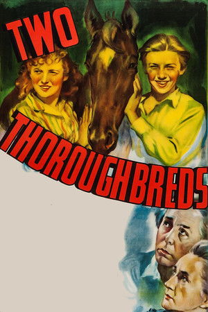 Two Thoroughbreds poszter