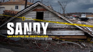 Superstorm New York: What Really Happened háttérkép