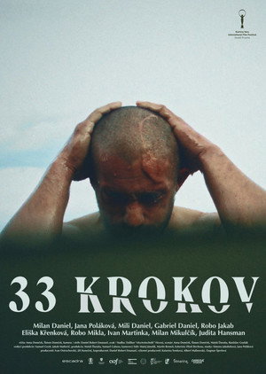 33 krokov