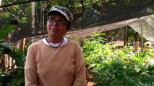 Agroecología en Cuba háttérkép