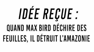 Idée reçue 1. évad Ep.33 33. epizód