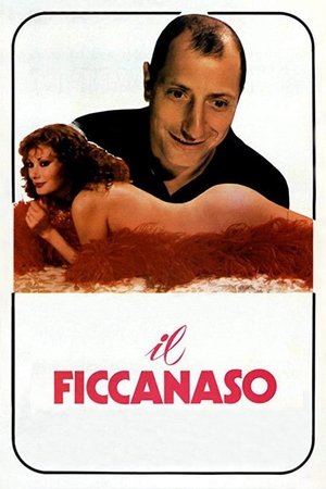 Il ficcanaso poszter
