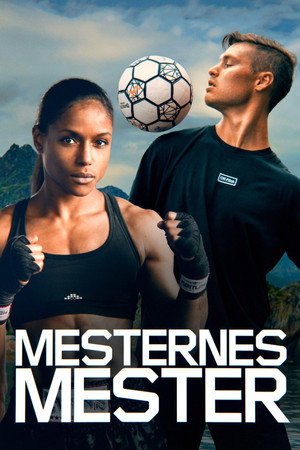Mesternes mester