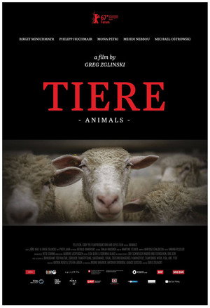 Tiere poszter