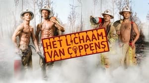 Het Lichaam van Coppens kép