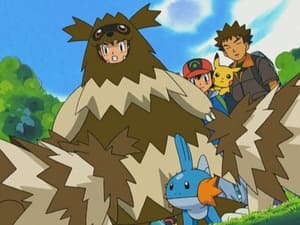 Pokémon 6. évad Ep.5 5. epizód