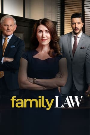 Family Law poszter