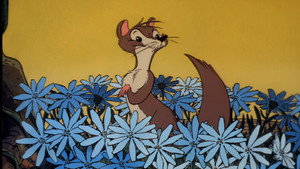 Rikki-Tikki-Tavi háttérkép