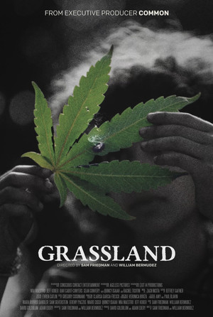 Grassland poszter
