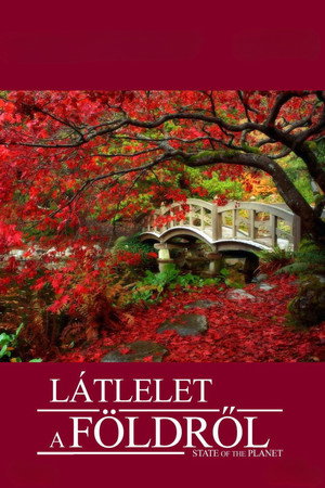 Látlelet a Földről poszter