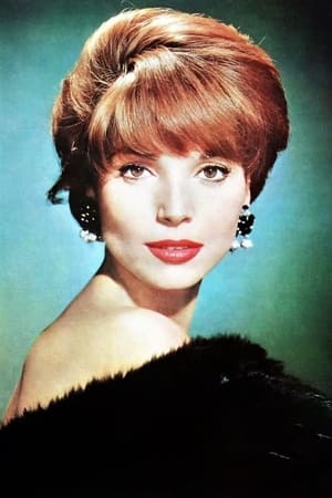 Elsa Martinelli profil kép