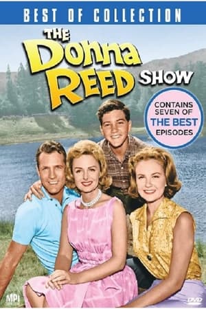 The Donna Reed Show poszter