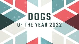 Dogs of the Year kép