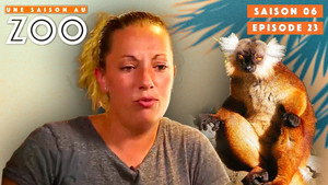 Une saison au zoo Season 6 Ep.23 23. epizód