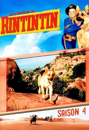 The Adventures of Rin Tin Tin