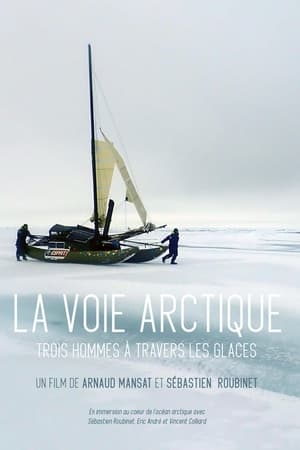 La Voie arctique - Trois hommes à travers les glaces poszter