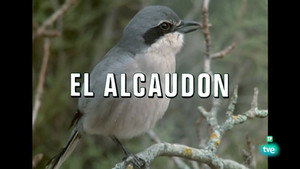 El hombre y la Tierra 2. évad Ep.24 24. epizód