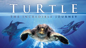 Turtle: The Incredible Journey háttérkép
