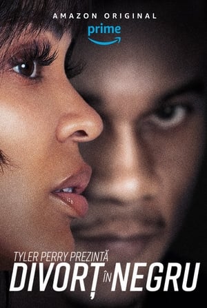 Tyler Perry's Divorce in the Black poszter